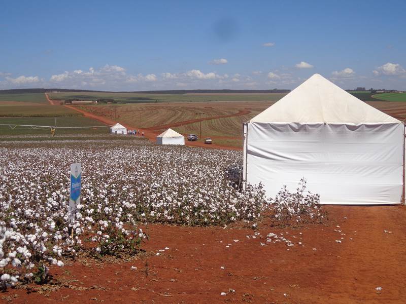 14º Encontro dos Cotonicultores de Campos de Holambra – SP